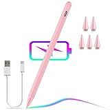 Stylus Pen for iPad, Apple Pencil 2.5X Quick Charge, 5 Extra Tip, Compatible with iPad Pro 12.9/11...